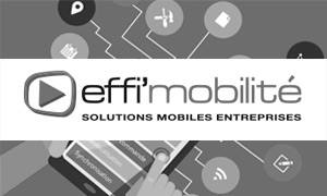 Effimobilite - Responsive website development